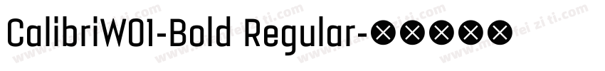 CalibriW01-Bold Regular字体转换